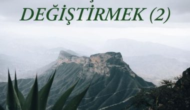 DEĞİŞİM VE DEĞİŞTİRMEK (2)