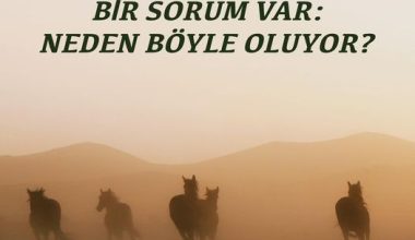 BİR SORUM VAR: NEDEN BÖYLE OLUYOR?