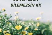 DENEMEDEN BİLEMEZSİN Kİ!