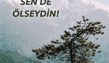 SEN DE ÖLSEYDİN!