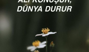 ALİ KONUŞUR, DÜNYA DURUR