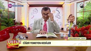 Üstün Dökmen – Ciğer Yemeyen Kediler