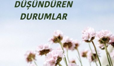 GÜLERKEN DÜŞÜNDÜREN DURUMLAR