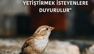MÜKEMMEL EVLAT YETİŞTİRMEK İSTEYENLERE DUYURULUR MÜKEMMEL EVLAT YETİŞTİRMEK İSTEYENLERE DUYURULUR