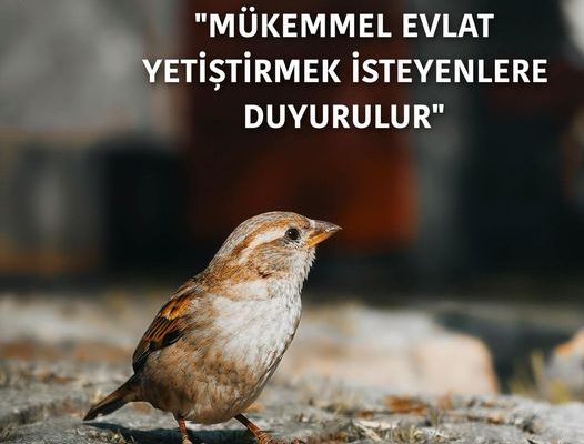 MÜKEMMEL EVLAT YETİŞTİRMEK İSTEYENLERE DUYURULUR