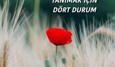 BİR İNSANI TANIMAK İÇİN DÖRT DURUM