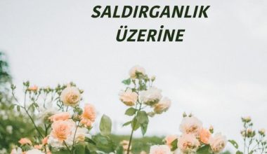 Şiddet ve Saldırganlık Üzerine