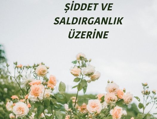 Şiddet ve Saldırganlık Üzerine