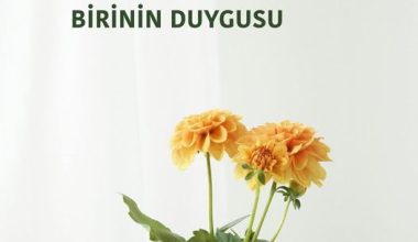 ANNE OLAMAMIŞ BİRİNİN DUYGUSU