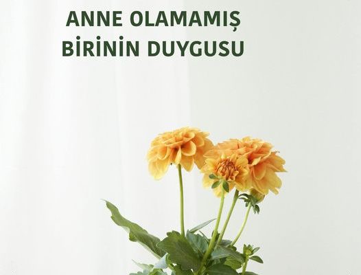 ANNE OLAMAMIŞ BİRİNİN DUYGUSU
