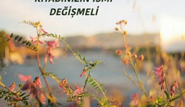 “EVLENMEDEN ÖNCE” KİTABINIZIN İSMİ DEĞİŞMELİ “EVLENMEDEN ÖNCE” KİTABINIZIN İSMİ DEĞİŞMELİ