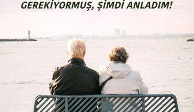 İNSANA BİR YAŞAM ARKADAŞI GEREKİYORMUŞ; ŞİMDİ ANLADIM! İNSANA BİR YAŞAM ARKADAŞI GEREKİYORMUŞ; ŞİMDİ ANLADIM!