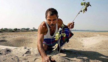 “TEK BİR İNSAN NE YAPABİLİR!” DİYORSANIZ… “TEK BİR İNSAN NE YAPABİLİR!” DİYORSANIZ…