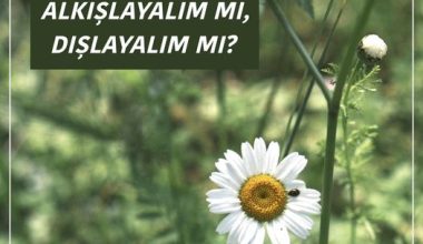 ALKIŞLAYALIM MI, DIŞLAYALIM MI?