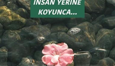 İNSAN YERİNE KOYUNCA İNSAN YERİNE KOYUNCA