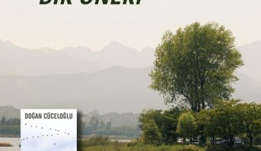 BİR ÖNERİ BİR ÖNERİ