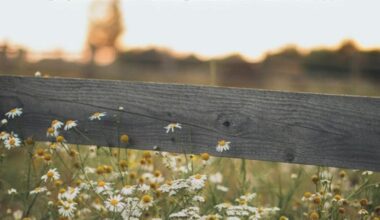 GÖREVİ DEĞİLDİ AMA…