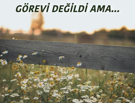 GÖREVİ DEĞİLDİ AMA…
