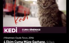 “Kedi”