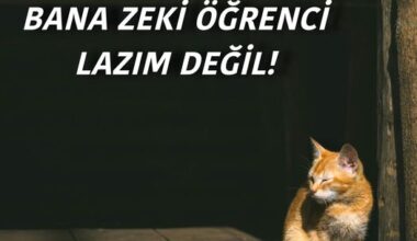BANA ZEKİ ÖĞRENCİ LAZIM DEĞİL!