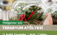 Yetişkinler için Teraryum Atölyesi