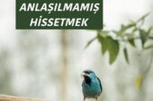 ANLAŞILMAMIŞ HİSSETMEK