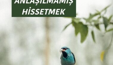ANLAŞILMAMIŞ HİSSETMEK ANLAŞILMAMIŞ HİSSETMEK