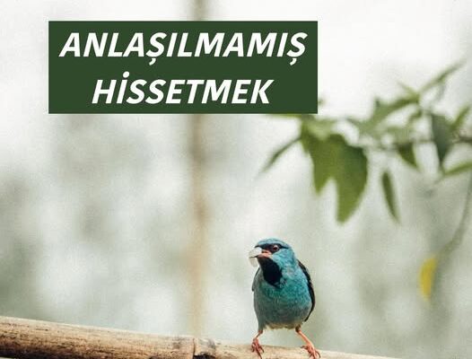 ANLAŞILMAMIŞ HİSSETMEK