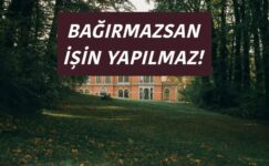 BAĞIRMAZSAN İŞİN YAPILMAZ!