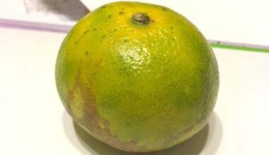 ABİ, MANDALİNA SEVER MİSİN?