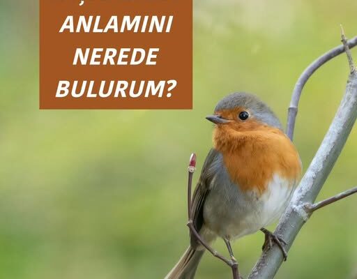 YAŞAMIMIN ANLAMINI NEREDE BULURUM?