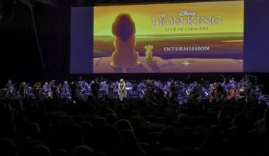 Hem konser hem sinema