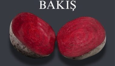 Deney Atölyesi’nin “Orestes’e Bakış”