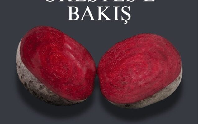 Deney Atölyesi’nin “Orestes’e Bakış”