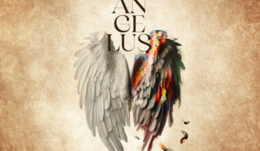 “Angelus” ve “Biz”