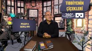 Mahya Işıkları Tıbbiyenin Çiçekleri