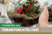 Yetişkinler için teraryum atölyesi