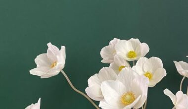 ÜNİVERSİTELİ GENÇTEN MEKTUP ÜNİVERSİTELİ GENÇTEN MEKTUP