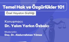 Temel Hak ve Özgürlükler 101