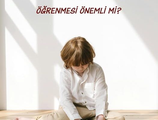 ÇOCUĞUN İHTİYAÇLARINDA ÖNCELİK SIRALAMASI YAPMASINI ÖĞRENMESİ ÖNEMLİ Mİ?