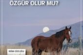 FARKINDA OLMAYAN ÖZGÜR OLUR MU?