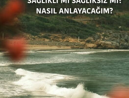 BENİM AİLEM SAĞLIKLI MI SAĞLIKSIZ MI? NASIL ANLAYACAĞIM?