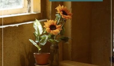 BÖYLE GELMİŞ, AMA BÖYLE GİTMEYECEK BÖYLE GELMİŞ, AMA BÖYLE GİTMEYECEK