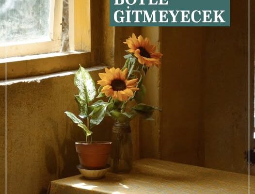 BÖYLE GELMİŞ, AMA BÖYLE GİTMEYECEK