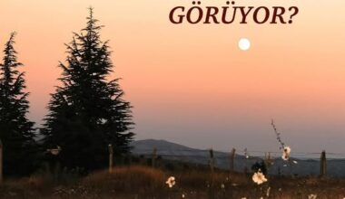 ANNE NEDEN ÇOCUĞUNU YÜK OLARAK GÖRÜYOR? ANNE NEDEN ÇOCUĞUNU YÜK OLARAK GÖRÜYOR?