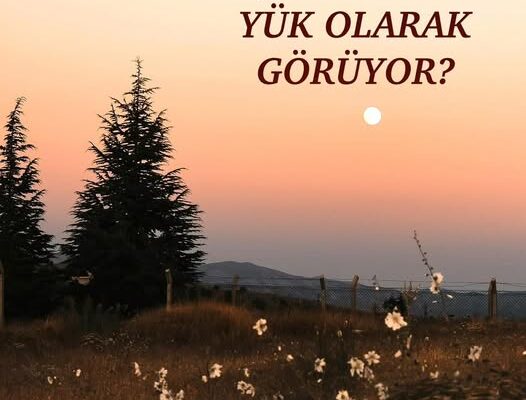 ANNE NEDEN ÇOCUĞUNU YÜK OLARAK GÖRÜYOR?