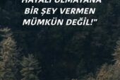 GELECEKLE İLGİLİ HAYALİ OLMAYANA…