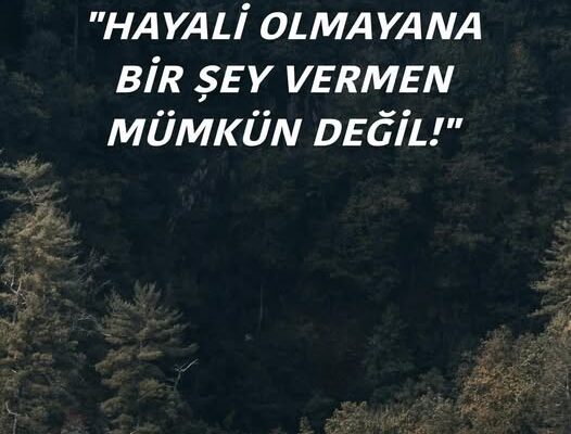 GELECEKLE İLGİLİ HAYALİ OLMAYANA…