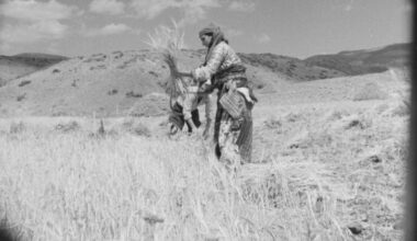 Karanlık Dünya Karanlık Dünya