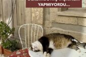 HERKESİN YAKA SİLKTİĞİ ÖĞRENCİLER BİLE BENİM DERSİMDE HİÇ TAŞKINLIK YAPMIYORDU…